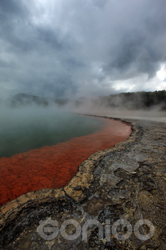 champagne_pool