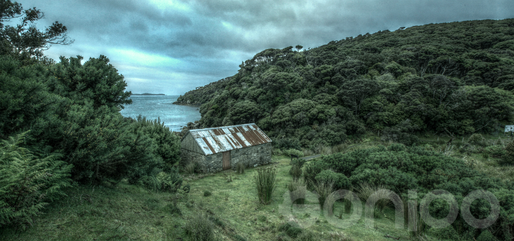 steward_island old house
